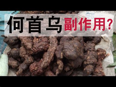 何首烏禁忌|何首烏